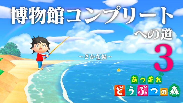 【生放送】あつまれどうぶつの森「博物館コンプリート」目指す配信〜さかな編〜２