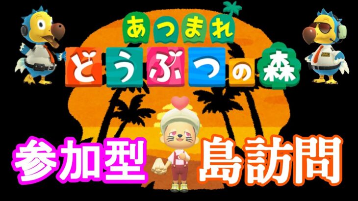 【あつ森】島訪問　皆の島見せてくださ~い。【参加型】