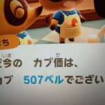 あつ森　カブ５０７ベル　チャンネル登録で無料