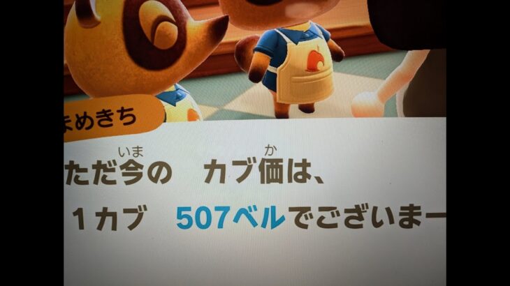 あつ森　カブ５０７ベル　チャンネル登録で無料