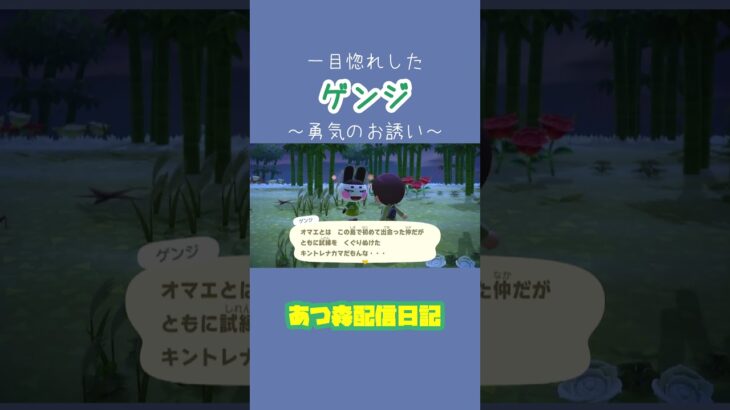 一目惚れしたゲンジに勇気のお誘い【あつ森配信日記】 #あつまれどうぶつの森