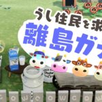 【 あつ森  】今度こそウシ住民さんと出会いたい！【 生配信 】