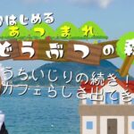 【あつまれ どうぶつの森】個人経営カフェの厨房ってどんなもんなんですかね【あつ森】