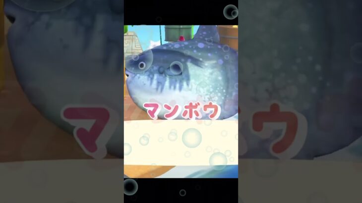 あつ森、釣り名人現る　#あつ森