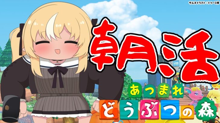 【あつまれ どうぶつの森】朝のハッピーホームデザイナーフレア🏠【不知火フレア/ホロライブ】