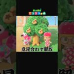 意見が合わず解散【あつ森】#あつ森 #あつまれどうぶつの森 #ゲーム実況