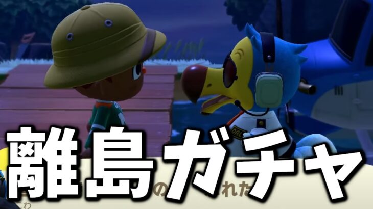 最強の出会いを求めて離島ガチャ100連　最初から始める「あつまれどうぶつの森」8日目