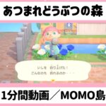 【 あつ森】『1分間動画／MOMO島②』#shorts