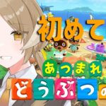 【#あつ森/あつまれどうぶつの森】はじめてのどうぶつの森！借金は早々に返せるのか？3回目【月暈セイジ/あっとらいぶ】