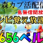 あつ森カブ活♪カブ価６５６ベル💰レシピ覚え🍳3分間♪【視聴者参加型】