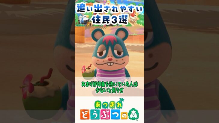 【あつ森】島から追い出されやすい住民3選 #animalcrossing #あつまれどうぶつの森 #どうぶつの森