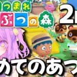 【小学3年生さき】初めてのあつ森やるよ！2日目【あつまれ　どうぶつの森】