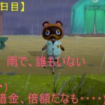 【あつ森 4日目】初ライブ！！ 雨でも借金返済⁉