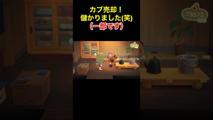 【カブは良いよなぁ(笑)あつ森#41】#shorts#switch#あつ森#あつまれどうぶつの森#ゲーム