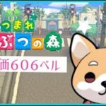 あつ森　カブ606ベル開放