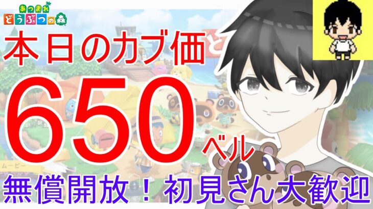 【あつ森】カブ価650,598ベルを無償開放。往復OK！カブ活しましょう！【カブ活】【ライブ配信】