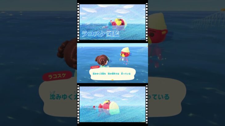 #あつ森 #ラコスケ #どうぶつの森 #名言 #迷言 #ACNH #animalcrossingnewhorizons