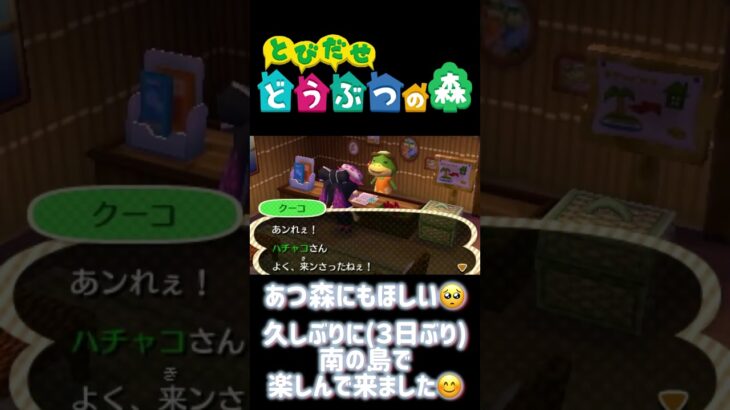 【とび森】あつ森にもほしい🥺南の島で楽しんで来ました🏝#どうぶつの森 #AnimalCrossing #ACNH #NintendoSwitch