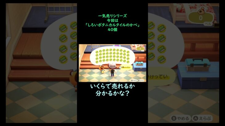 【あつ森】　一気売り シリーズ  Part485 今回は 【しろいボタニカルタイルのかべ】 40個 いくらか分かるかい？