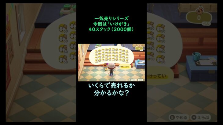 【あつ森】　一気売り シリーズ  Part494 今回は 【いけがき】 40スタック いくらか分かるかい？