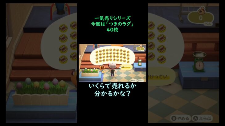 【あつ森】　一気売り シリーズ  Part506 今回は 【つきのラグ】 40枚 いくらか分かるかい？