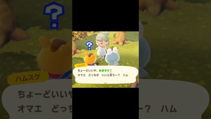 キンニクダンスを踊って欲しい、フツーに #animalcrossing #ハムスケ #あつ森