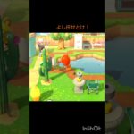 【あつ森】　スカッと一発、男前！？#animalcrossing #shorts