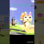 【あつ森】　唄う🎤さっち🐱。ペーターとエレキギター🎸#animalcrossing #ゆけけけライダー#shorts