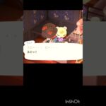 【あつ森】　居眠り？ではない？ジュン🐿との会話。#animalcrossing #shorts