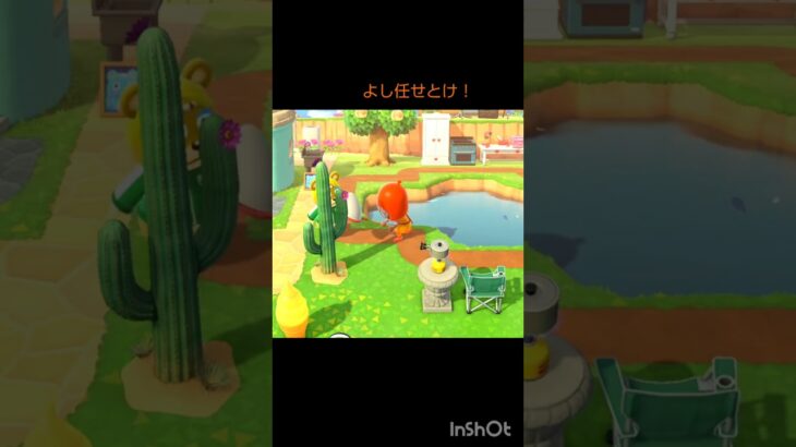 【あつ森】　スカッと一発、男前！？#animalcrossing #shorts