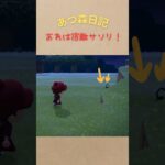 今夜も遭遇！宿敵サソリ！#あつ森 #あつまれどうぶつの森 #animalcrossingnewhorizons #gaming #shorts