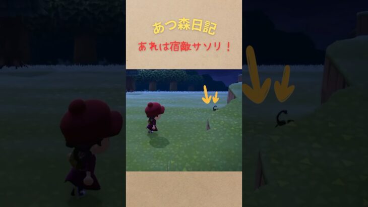 今夜も遭遇！宿敵サソリ！#あつ森 #あつまれどうぶつの森 #animalcrossingnewhorizons #gaming #shorts