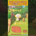 【あつ森】あつ森初見の蜂回避 検証してみたら…🍯 楽しすぎたｗ　【 あつまれどうぶつの森 / 縦型配信】  #short  #あつ森縦型配信  #あつ森vtuber #あつ森島クリエイト