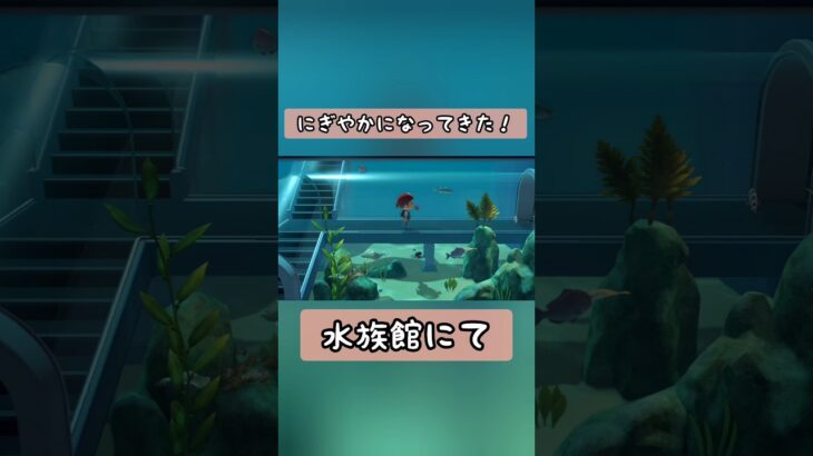 【 #あつ森】水族館にて〜にぎやかになってきたね〜【 #switch 】