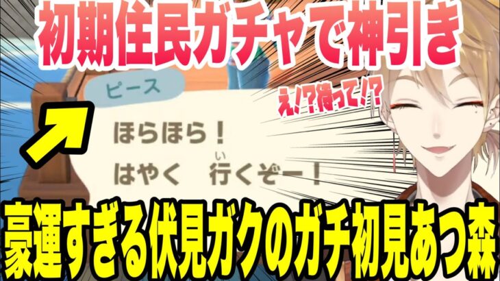 【あつ森】神に恵まれすぎた、伏見ガクの誕生日ガチ初見あつ森配信【にじさんじ/切り抜き/伏見ガク】