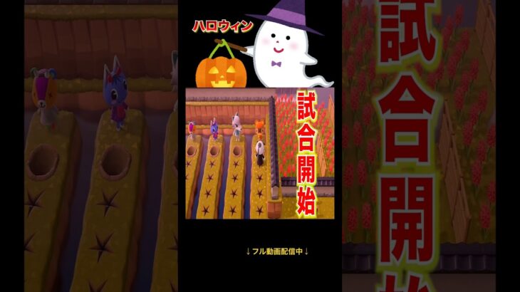 誰が勝つでしょう？🎃👻#あつ森 #落とし穴レース #ハロウィン