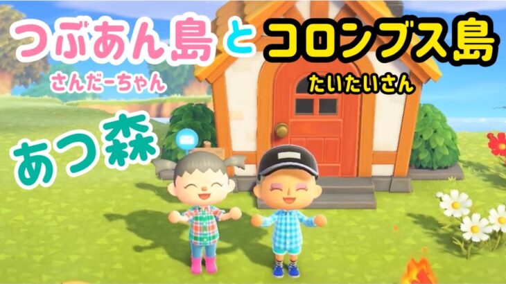 【✂️さかいさんだーちゃん切り抜き】たいたいとあつ森で遊んだよ!!