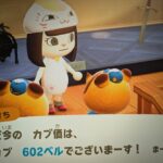 あつ森　カブ６０２　誰でも参加可能！！