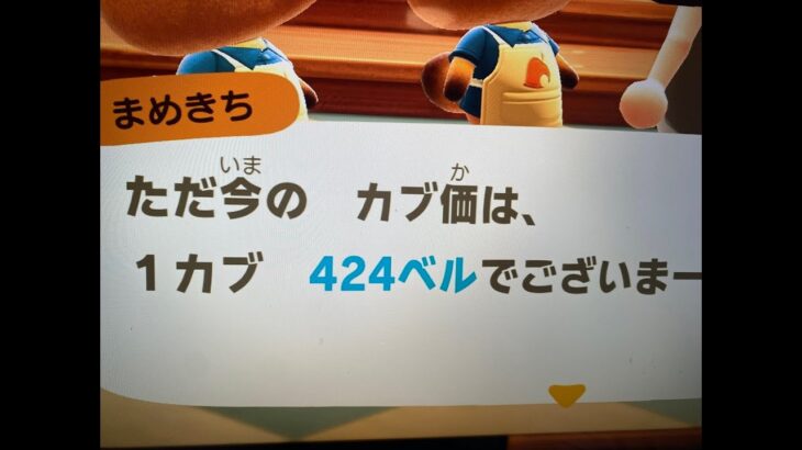 あつ森　カブ４２４　誰でも参加可能！！