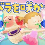 【あつ森】青バラを交配して咲かせよう！｜ちゃちゃまると作る島づくり【生配信】