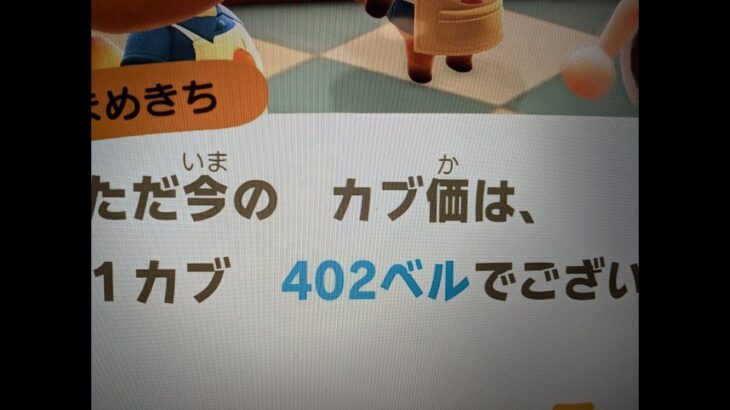 あつ森　カブ４０２ベル　チャンネル登録おねがいします！！