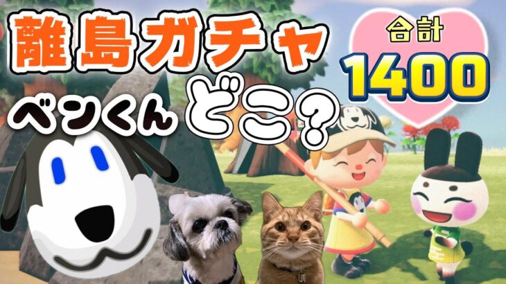 【あつ森★離島ガチャ】ベン君どこ？離島ガチャ★合計１４００連