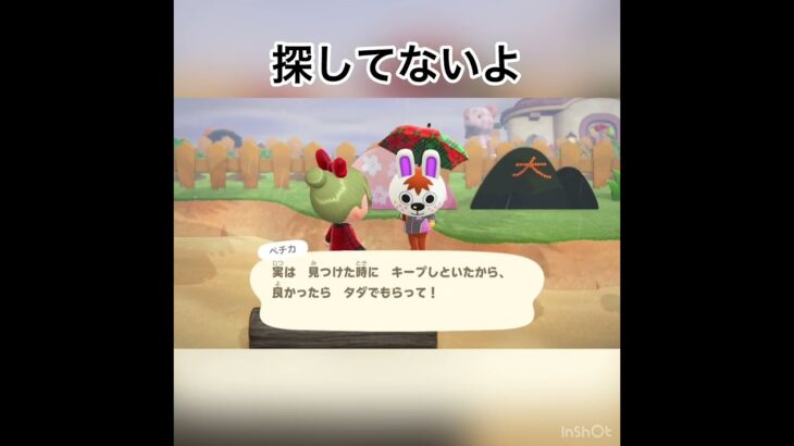 ペチカちゃんからプレゼント　#vlog #animalcrossing #あつまれどうぶつの森 #あつ森 #shorts