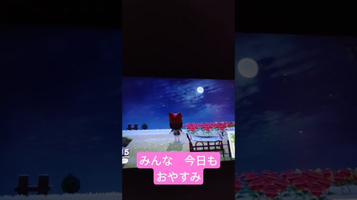 おやすみ【zz】あつ森の夜空