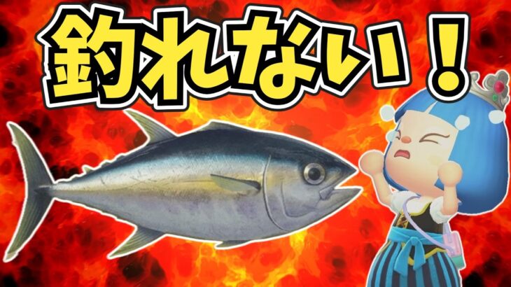 【終われません】マグロが強敵！魚の模型コンプリートまであと10個【あつ森ゆっくり実況】