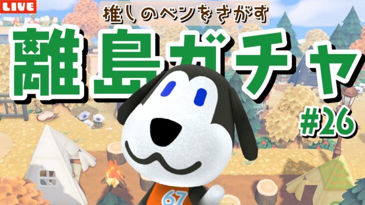 【あつ森】累計1000回超えました笑ベンを探す離島ガチャ配信！【あつまれ どうぶつの森】