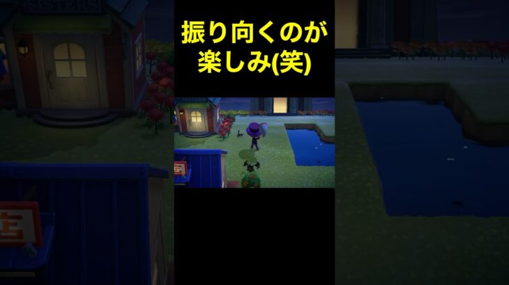 【振り向くのが楽しみ(笑)あつ森#106】#shorts#switch#あつ森#あつまれどうぶつの森#ゲーム