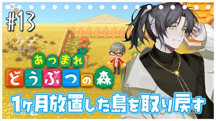 #13【あつまれどうぶつの森】荒れた島を取り戻す‼️ あつ森＆雑談 【ノイフライブルク/ #Vtuber】