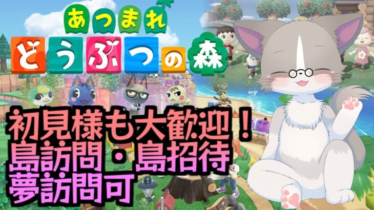 1ヵ月半ぶりのあつ森、Discord通話OK、雑談OK、島訪問・夢訪問希望OK『あつまれ どうぶつの森』