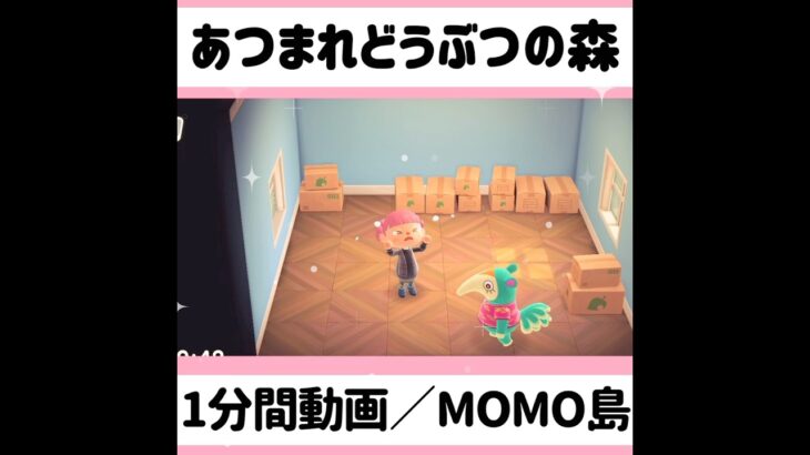 【 あつ森ルーティン】『1分間動画／MOMO島#5』#shorts